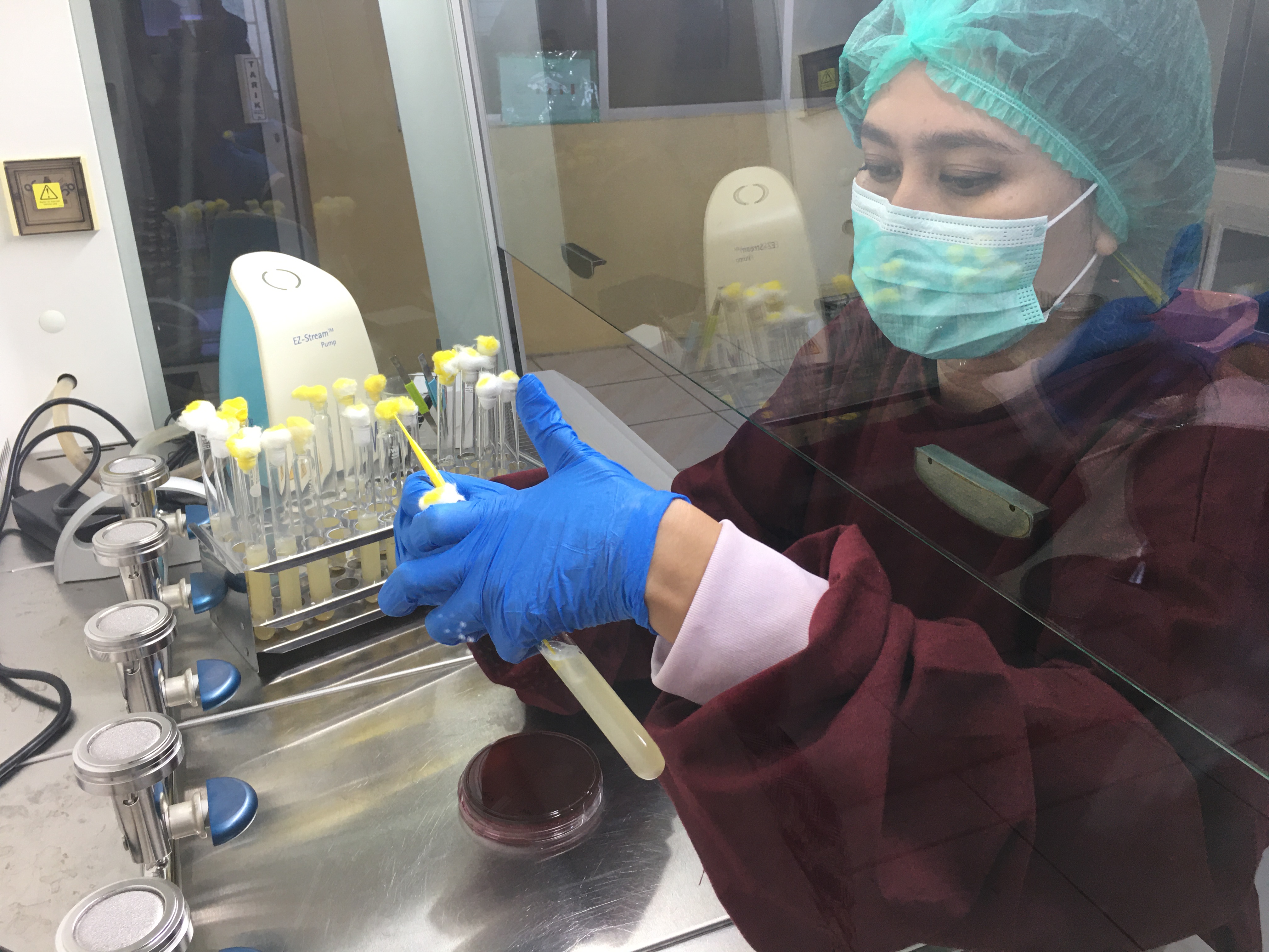 Laboratorium Mikrobiologi Lingkungan